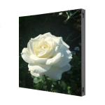 P3.9 Outdoor Fixed LED Display Screen 1000×1000mm Aliuminum Profile Cabinet