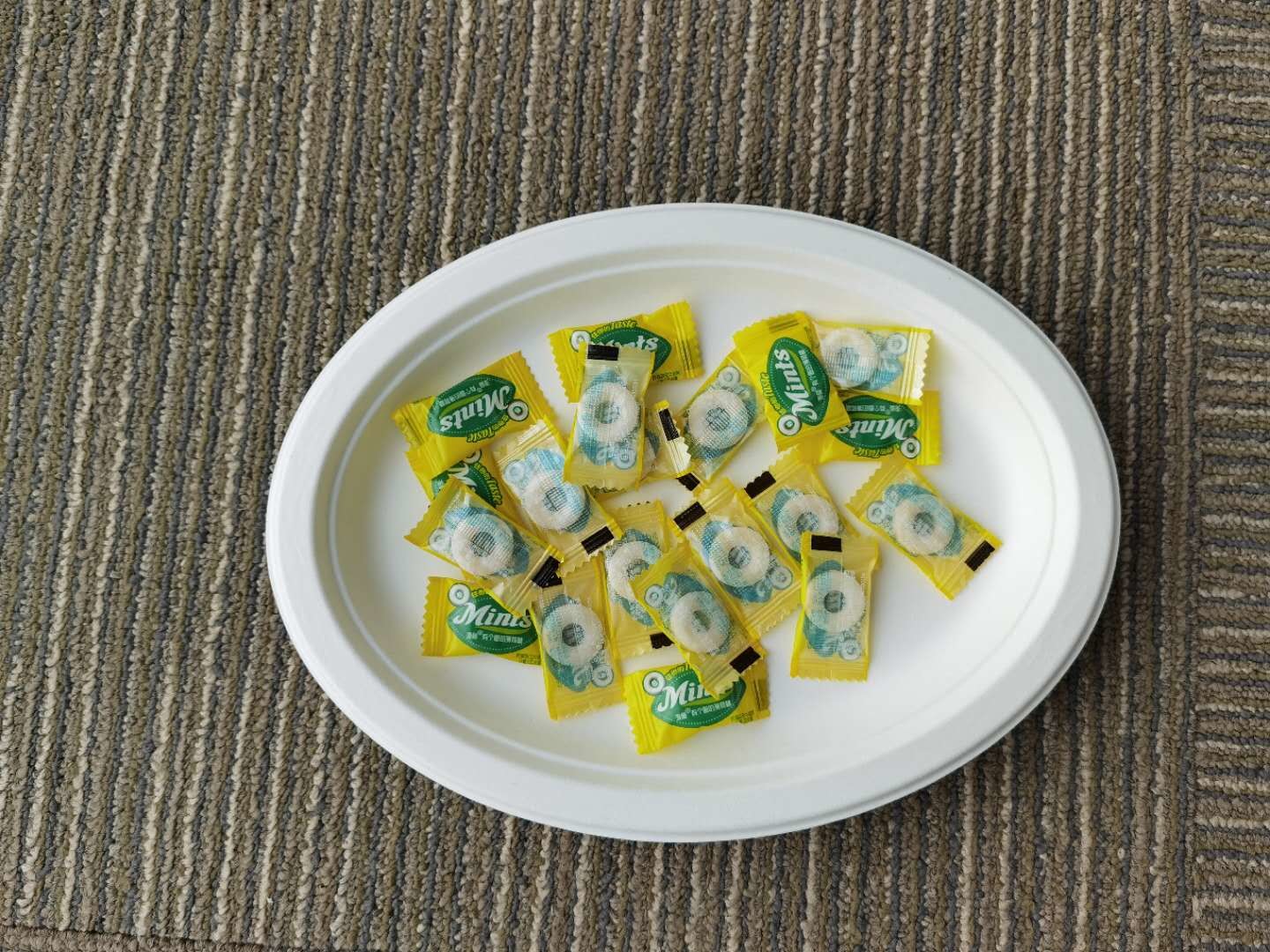 10 Inch 17g Eco Friendly Sugarcane Paper Plates