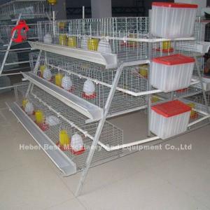 Wholesale 3 tiers Pullet Chicken Cage For 1 Week Small Chick Brooder Cage Doris from china suppliers