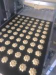 1200mm Top cookie machine Automatic Industrial Machine Wire Cut and Deposit