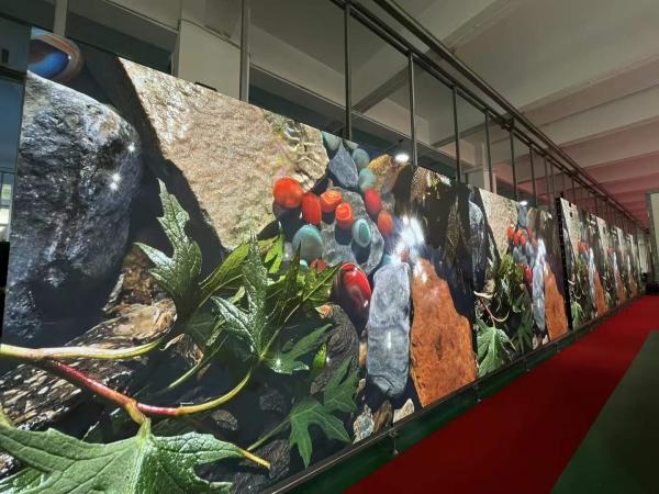 Outdoor Retail Advertising Exterior Multicolor LED Display with 5500 Brightness
