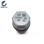 PC200-8 EC210 Fuel Rail Pressure Relief Valve 1110010013 Diesel Engine Parts
