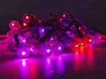 Christmas Outdoor Decoration Light 12 Volt RGB IC LED IP67 Waterproof Permanent