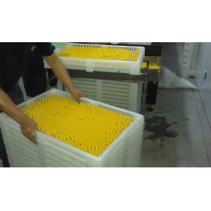 Automatic Paintball Encapsulation Machine 16.5Kw 30000/H Capacity
