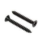 Stainless Steel Sheet Metal Screws Zinc Phospaste Black Stainless Steel Flat