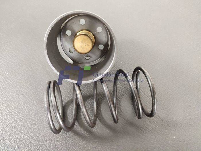 11244474 Replacement Thermostatic Air Compressor Valves