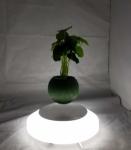 led light magnetic levitation floating air bonsai flower pot tree plant