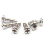 1000pcs Metal Drywall Screws with Pack of Standard Point Type