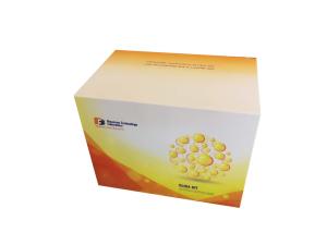 Wholesale 96 Wells Mouse High Specifibility and Precision DS-DNA Sandwich ELISA Kit from china suppliers
