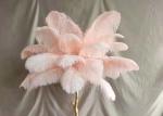 Colorful Light Luxury Floor Lamp Hotel Villa Feather Bedroom Standing Lamp Home