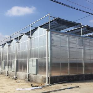 Wholesale Inside Outside Shading System Hot Galvanized Steel Frame Large Polycarbonate Greenhouse from china suppliers