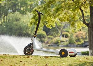 Wholesale Brushless Motor L1600mm Portable Folding Scooter from china suppliers