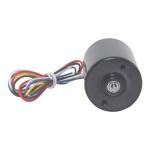 12v 4150rpm Brushless Electric Motor high speed BLDC 3650 OEM ODM