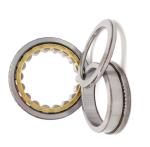 Single Row Full Complement Cylindrical Roller Bearing NJ 203-NJ 216