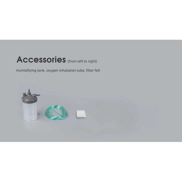 Remote Control Portable Oxygen Concentrator 10 Liter Medical