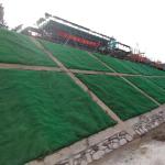 Mountain Slope Protection with 3D Geomat After-sale Service Includes Free Spare