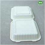 Duarable 8x8 Inch Bioplastic Hinge Food Container, 9x9inch Corn-Stach Microwave