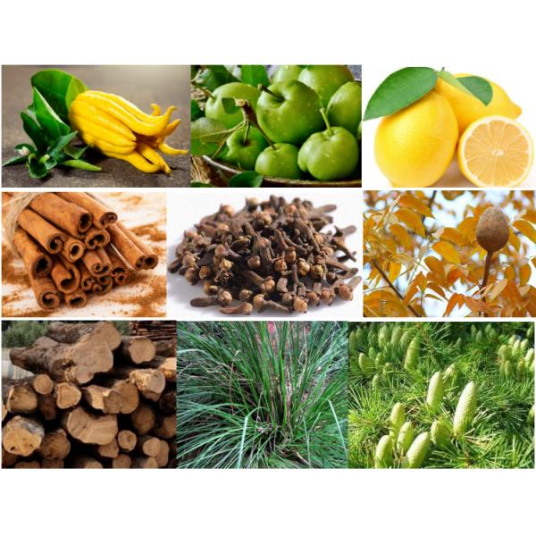 100% Pure Hu go Boss Fragrance Essence For Body Perfume 10ml Sample