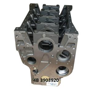 Wholesale Cummins 4B Diesel Engine Cylinder Block OEM 3903920 from china suppliers