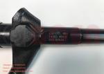 Original Diesel Engine Fuel Injector 0950006244 0950006243 For 16600VM00D