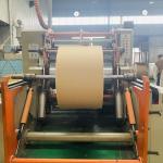 Eco-Friendly PE Coated OEM Kraft Paper Roll In Natural Color