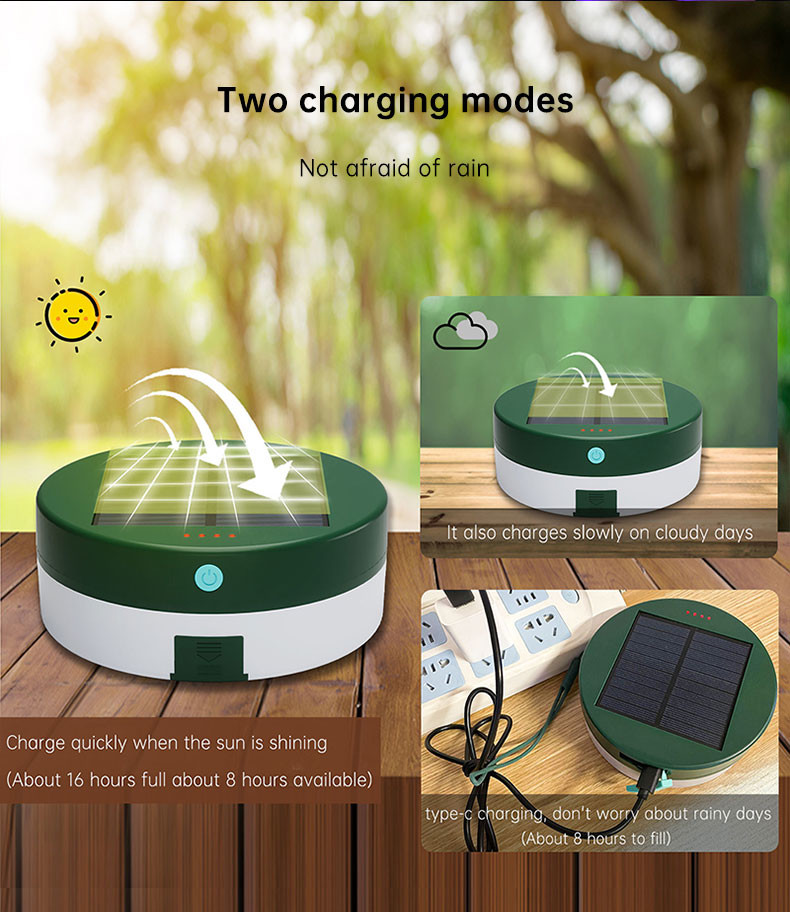 Modern Solar Stake Lights With Toughened Glass Lampshade And Rechargeable Battery For Auto On/Off Feature
