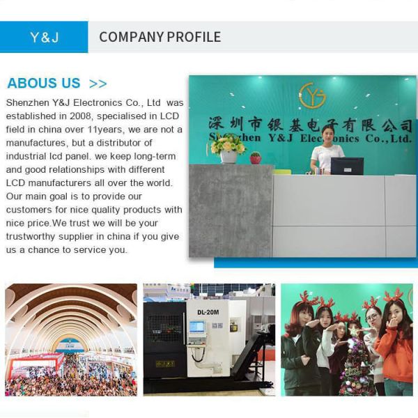 LTM190EX-L31 19" inch 1280*1080 CCFL TFT-LCD Display Screen