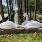 Rester Body Style Hunting Decoy Lifelike Plastic Life Size Swan Decoy for Geese