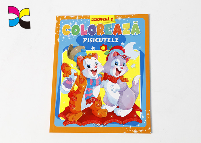 Saddle Stitch Small Booklet Printing / Mini Full Color Brochure Printing