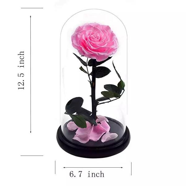 Natural Fresh Roses Flowers Everlasting Preserved Eternal Rose beautiful Rose