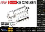 DIESEL ENGINE FUEL INJECTION PUMP BH6P110 5676 BH6P120 P10Z010 P10Z002 INJECTION