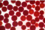 2 Years Shelf Life Natural Plant Extract 5 - 10% Astaxanthin Oil Health Care