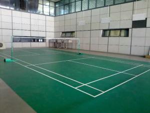 Wholesale Lightweight Flexible Badminton Net Width 50MD -3 00MD , Purple And Black from china suppliers