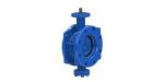 ANSI Standard Worm Gear Valve In Ductile Iron For Food / Beverage Industry