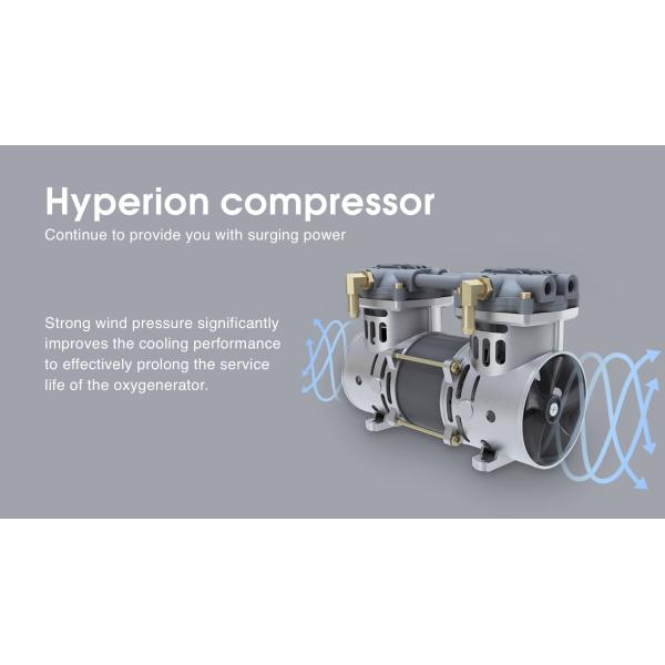 Remote Control Portable Oxygen Concentrator 10 Liter Medical