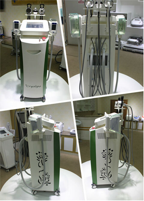New style 5 handles multifunctional 3 in 1 cryolipolysis slimming machie