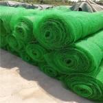 50m Normal Length CE/ISO9001/ISO14001 Certified 3d Geomat Plastic Mesh for