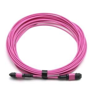 Wholesale Male To Female MPO Trunk Cable Assembly 12 Fibers Polarity A OM4 OFNP Magenta Jacket from china suppliers