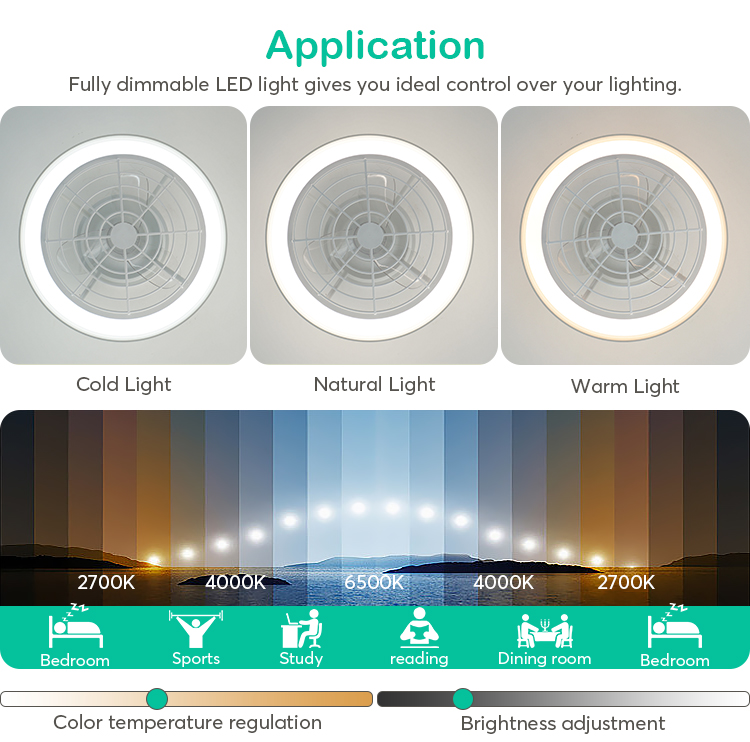 Silent High Speed 20 Inch LED Ceiling Fan with Smart Control and Decorative Lighting