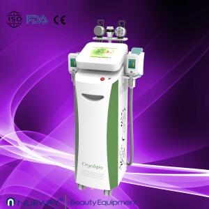 Wholesale New professional freezing slimming equipment for whole body use from china suppliers
