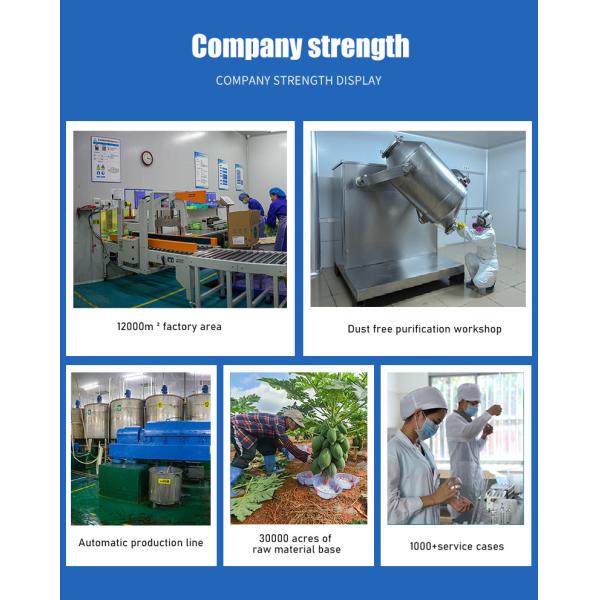 Bromelain Enzyme Powder 2400GDU Protease Manufacturers Enzyme Preparations Have Price Advantages