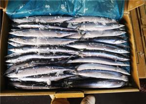 Wholesale 90g Whole Round Cololabis Saira Frozen Pacific Saury from china suppliers