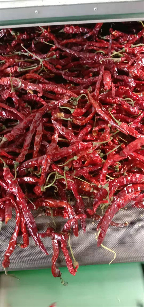Slim Curve Sichuan Erjingtiao Pepper With Stem Hot Pot Use