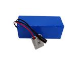 Lightweight and Long-lasting 24V 30Ah E Bike Battery Pack with NMC Cells for
