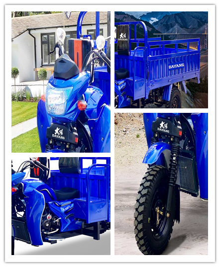 300cc Petrol Gasoline Motorized Cargo Tricycles 3wheels Motorcycle Customized 5.00-12