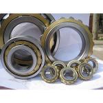 Stainless Steel Trailer Wheel bearing NU1014 With Carbon steel