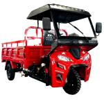 DAYANG 200cc Water Cooled Tricycle with Front and Rear Drum Brake Cylinder