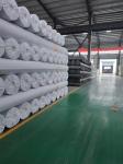 0.3-2.0mm HDPE Geomembrane Liners Durable Protection for Aquaculture Fish Shrimp