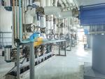 3D Design Rapeseed Oil Press Edible Oil Extraction Equipment 20000 TPD