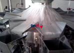 Detergent 10 head multihead weigher 500gram 400kg